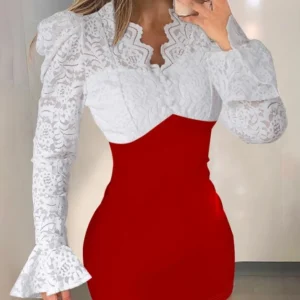 المرأة طويلة الأكمام الخامس الرقبة شبه شير فستان قصير ، التباين الدانتيل ، جرس كم Bodycon ، اليومية ، مثير ، كولوربلوك ، موضة ، الربيع